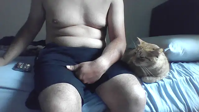 kocasosisli online show from July 9, 4:27 am