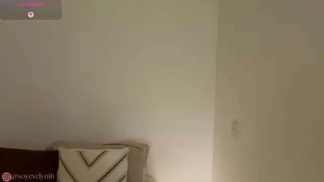 Snapshot of Evelyn__16 chatting on December 2, 8:48 pm Evelyn 16 online show from December 2, 8:48 pm