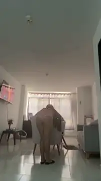 Snapshot of sweet_shadil_ chatting on May 22, 12:55 pm sweet shadil online show from May 22, 12:55 pm