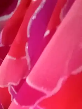 kittu0987 online show from February 9, 5:00 am