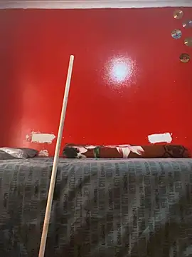 Snapshot of BaggyDirt chatting on November 7, 8:47 am BaggyDirt online show from November 7, 8:47 am