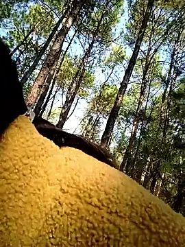 Snapshot of chengcheng12 chatting on November 25, 1:38 am chengcheng12 online show from November 25, 1:38 am