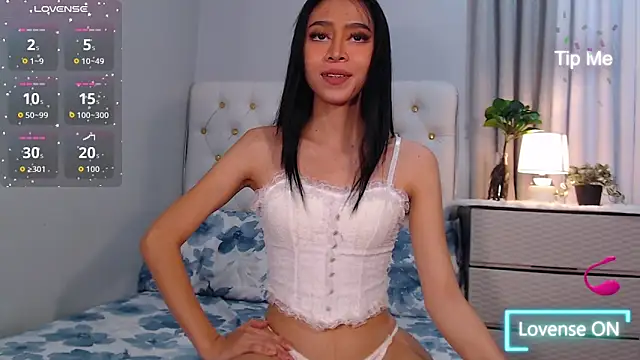 Snapshot of megumishemale_x chatting on November 29, 10:18 am megumishemale x online show from November 29, 10:18 am