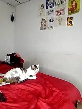 venusobryan 55 online show from September 18, 11:07 pm