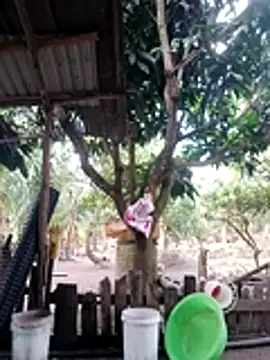 BigBoobs186 online show from October 18, 3:09 am