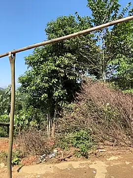 Snapshot of ThiHa003 chatting on November 27, 3:52 am ThiHa003 online show from November 27, 3:52 am