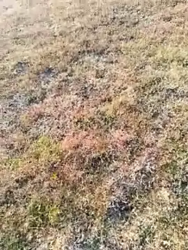 coocon2020 online show from November 16, 2:39 am