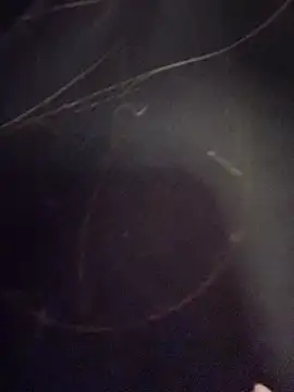 Snapshot of Natalia_vidal chatting on November 6, 1:12 pm Natalia vidal online show from November 6, 1:12 pm