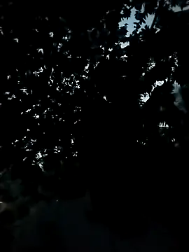 Snapshot of Girls_pussy_rider chatting on November 24, 12:38 pm Girls pussy rider online show from November 24, 12:38 pm