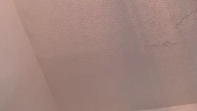 Thomasjons  online show from March 2, 9:54 pm