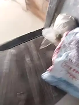 Wet BunnyFun online show from February 25, 10:03 am