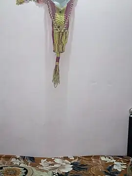 sneha bebo online show from February 27, 3:56 pm