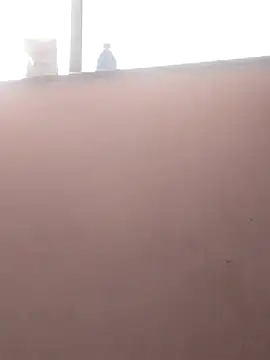 sneha bebo online show from March 3, 9:26 am