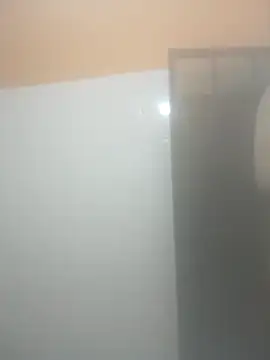 Franswat95 online show from December 16, 12:26 am