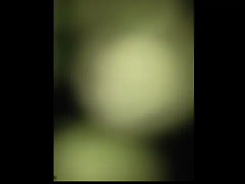 Snapshot of sobit1234 chatting on October 18, 6:52 pm sobit1234 online show from October 18, 6:52 pm