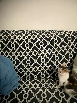 Snapshot of Sweet_lollipop25 chatting on January 11, 9:20 pm Sweet lollipop25 online show from January 11, 9:20 pm