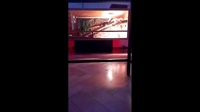 M6I6K6Exh online show from December 4, 7:28 am