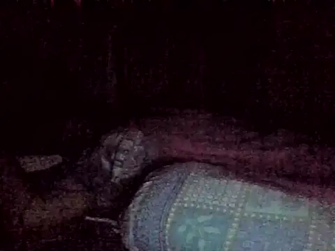 harish x online show from February 18, 6:26 pm