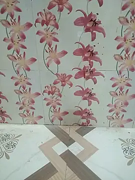 Snapshot of Meenaksi-singh chatting on October 4, 5:16 am Meenaksi-singh online show from October 4, 5:16 am