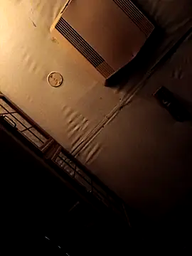 ShawnandDani7074 online show from February 4, 5:46 am