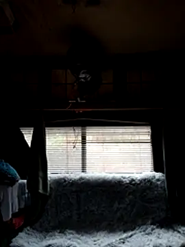 ShawnandDani7074 online show from February 22, 1:53 pm