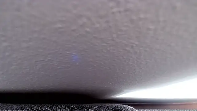 Snapshot of cucciolotto76 chatting on November 26, 8:37 am cucciolotto76 online show from November 26, 8:37 am