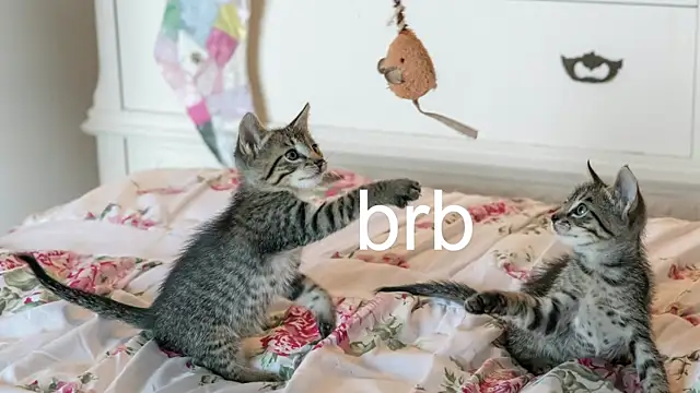 Snapshot of Pink_girl0n chatting on November 22, 3:27 am Pink girl0n online show from November 22, 3:27 am