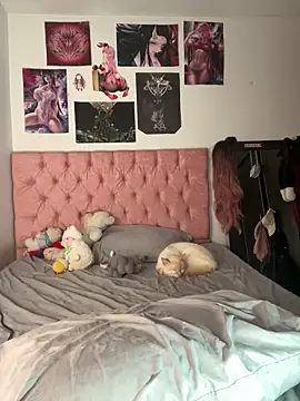  maki   online show from December 20, 2:18 am