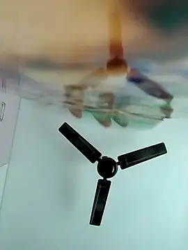 chaitanyaniharika online show from December 20, 2:29 am