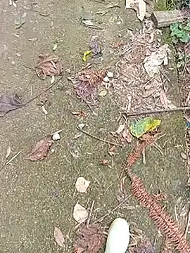 Snapshot of Phuongphuongg chatting on October 27, 4:27 am Phuongphuongg online show from October 27, 4:27 am