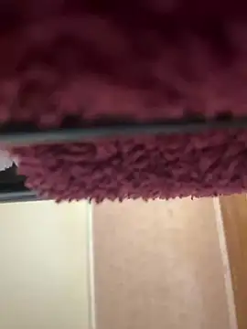 bb empress online show from September 26, 7:12 am