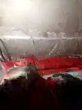 tdtd98 online show from February 21, 3:46 pm