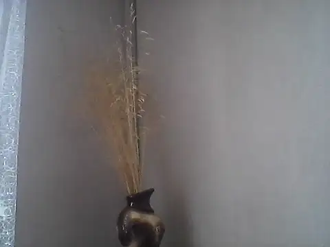 Snapshot of Littlecatme chatting on July 21, 7:32 am Littlecatme online show from July 21, 7:32 am