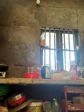 Sunny lotus online show from December 1, 5:34 am