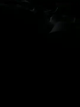 Reeelo online show from November 25, 3:17 am