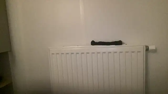 Snapshot of peterpapiNL chatting on January 13, 4:34 pm peterpapiNL online show from January 13, 4:34 pm