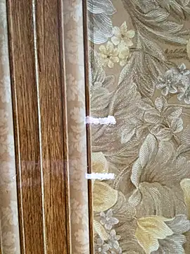 Julia-Elsa online show from November 2, 3:53 am