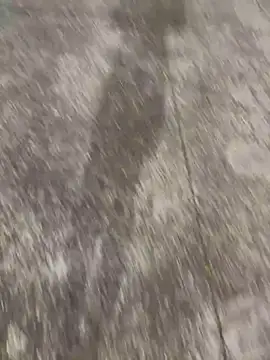 Foxfoxfox4 online show from November 28, 1:03 pm