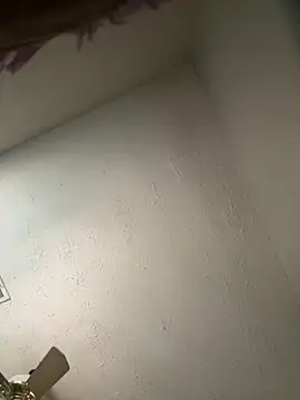 honestlychina online show from October 3, 1:52 pm