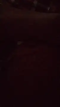 Snapshot of wanderboy1000 chatting on January 19, 3:05 pm wanderboy1000 online show from January 19, 3:05 pm