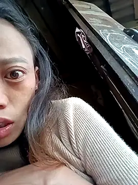 optra34 online show from November 27, 11:40 pm