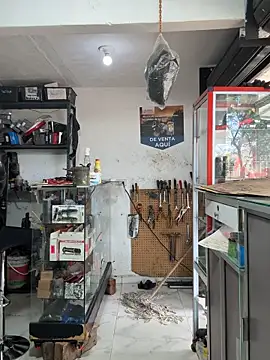 Terra-22cm online show from October 25, 3:07 pm