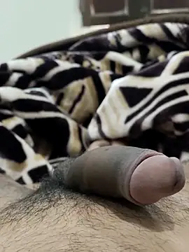 Bull54321 online show from February 14, 6:54 am