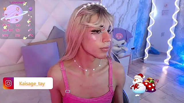 Snapshot of kaisage_tay chatting on November 27, 3:08 am kaisage tay online show from November 27, 3:08 am