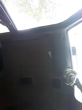 N i k o l a u online show from September 29, 12:32 pm