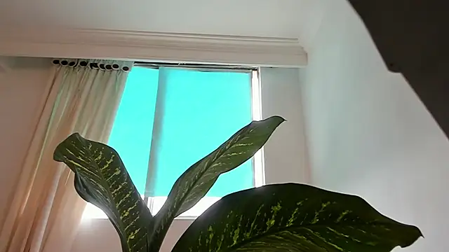 canelleGarces online show from February 10, 6:01 pm