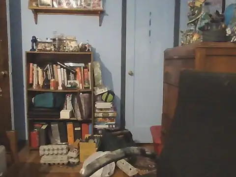 Snapshot of PDrents chatting on November 9, 10:30 pm PDrents online show from November 9, 10:30 pm