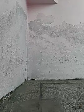 Love-pari077 online show from October 19, 2:34 am