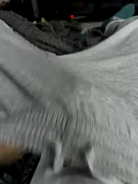 Snapshot of Frankieyyy1 chatting on November 28, 7:44 am Frankieyyy1 online show from November 28, 7:44 am