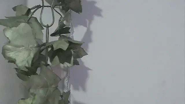 Snapshot of angelainparis28 chatting on November 17, 8:25 pm angelainparis28 online show from November 17, 8:25 pm